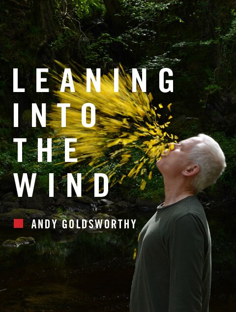 leaning into the wind leaning into the wind